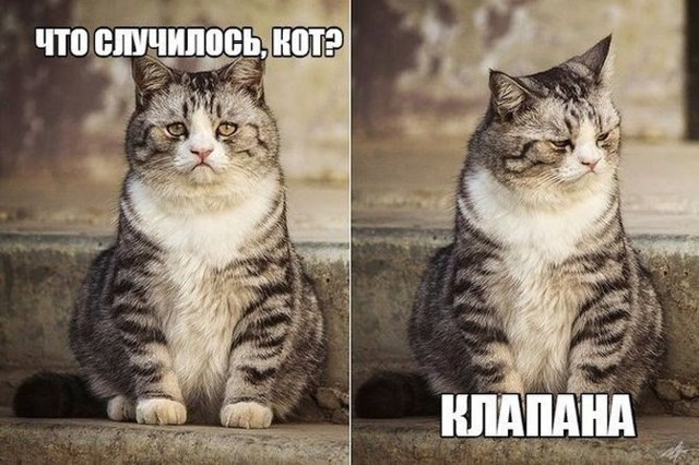 Свежая подборка автоприколов