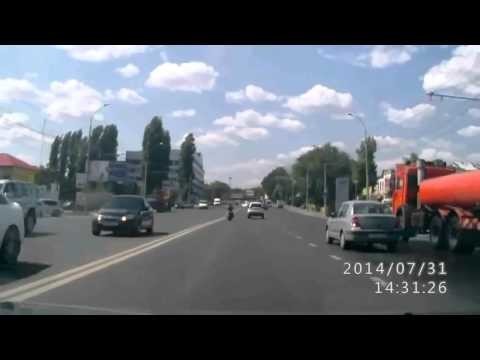 Моська решила слона поучить