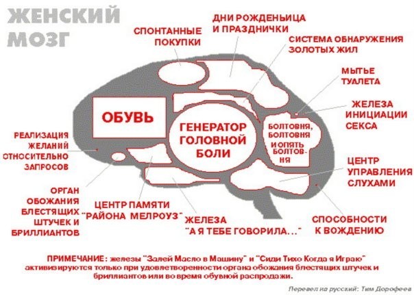 Как найти жену - мужской подход