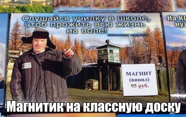 Просто- весёлые картинки!