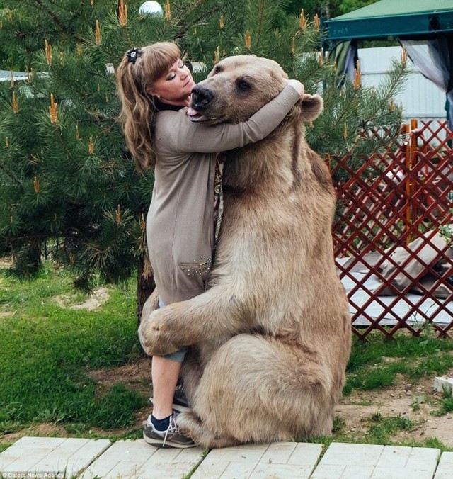Медведь в России больше чем медведь