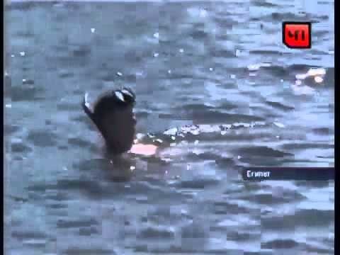 Немножко видосов