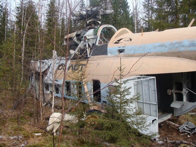 Находка в тайге