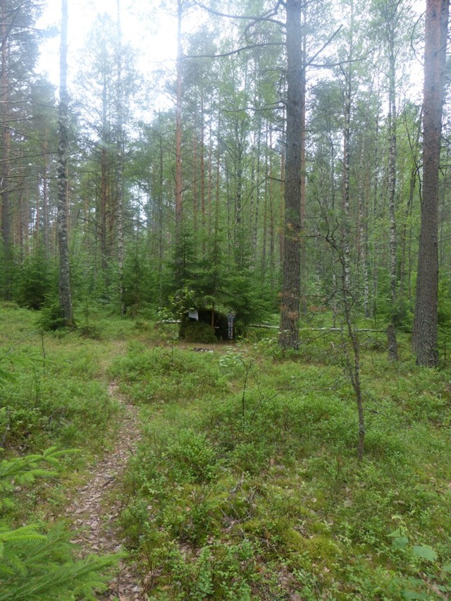 Пост Ностальгии о Лете часть 1