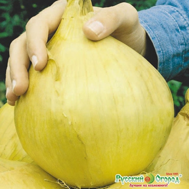 Лекарственные растения России