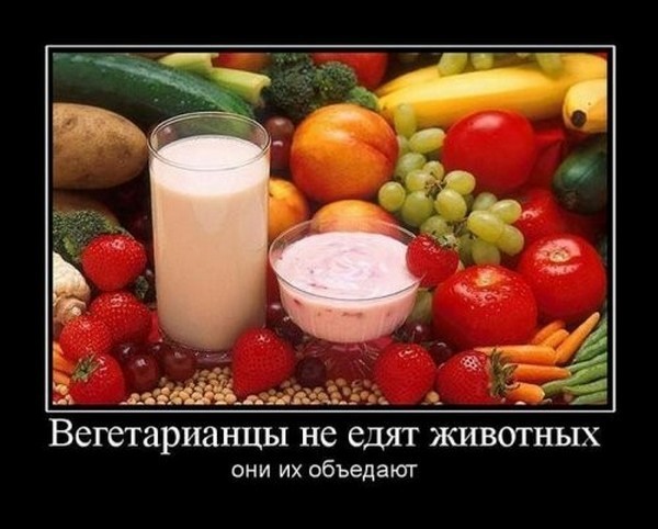 5 картинок перед выходными