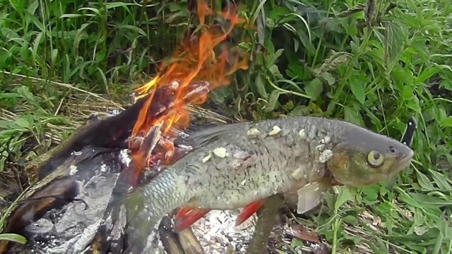 Голавль и окунь на дикой речушке