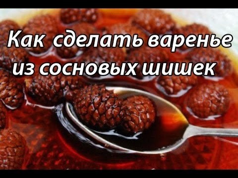 Варенье из сосновых шишек. Как побороть хронические простуды и грипп