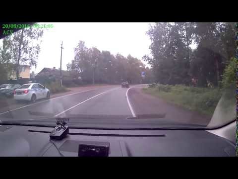  Экипаж ДПС «срубил» дерево во время погони за нарушителем под Петербургом