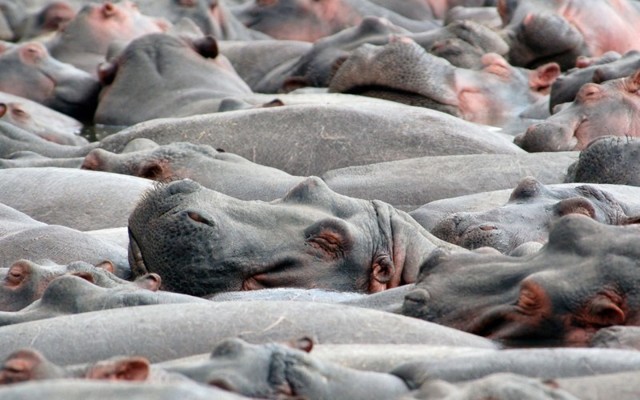 Хотите кому-то помочь? Не говорите, а слушайте!