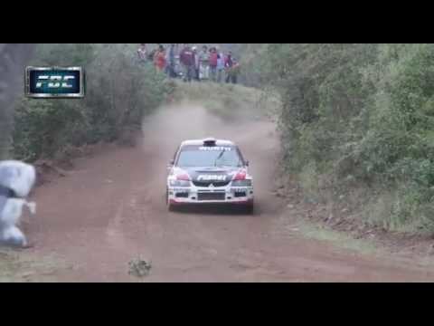 Удачливая собака