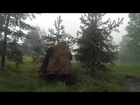 Танки, гранатометы и винтовки под Петербургом 