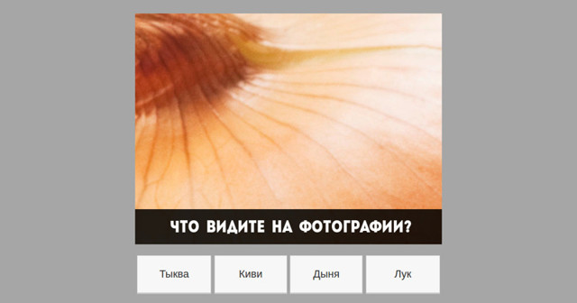 Вы узнаете обыкновенную еду? Под увеличением, конечно же (14 вопросов)