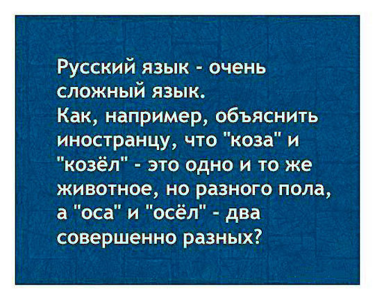 Русский язык: взрыв мозга для иностранцев + 44 страшилки русской грамматики