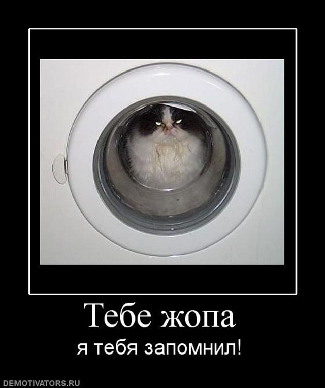 Подборка приколов и демотиваторов из сети
