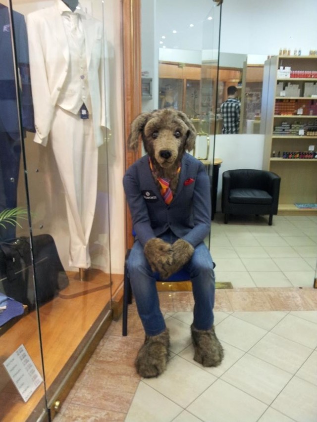 Чет приуныл