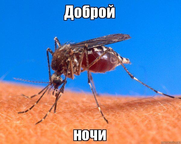 О изобретателе - испытателе!