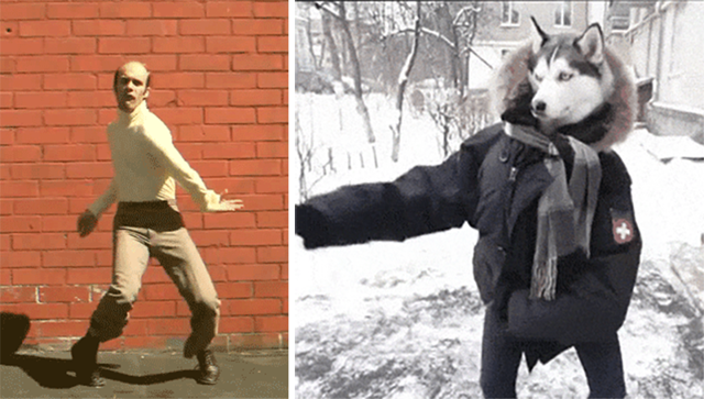 12 гифок, от которых хочется пуститься в пляс