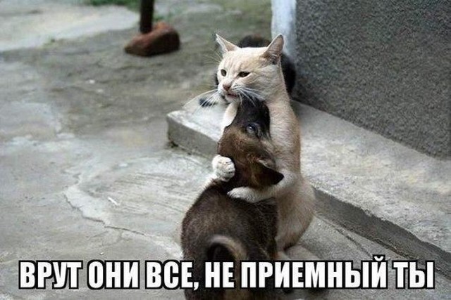 Немножко приколов 