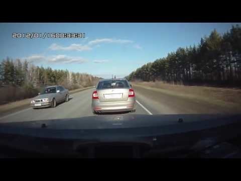 Бычки на дороге или  Гонки на выживание