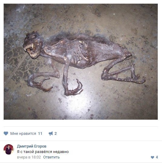 Смешные комментарии из социальных сетей