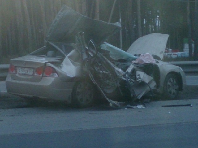 Животное за рулем