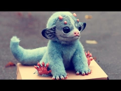 Необычные животные!
