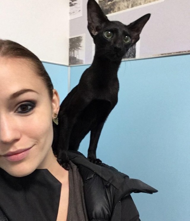  Порция картинок из сети