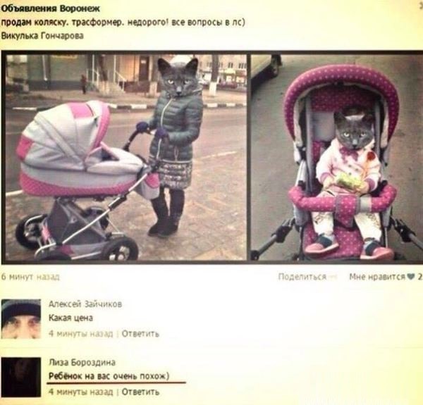 Смешные комментарии из социальных сетей