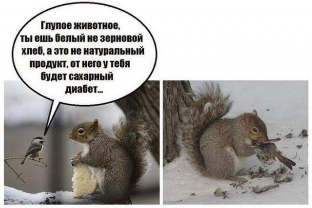 Смешные комментарии из социальных сетей