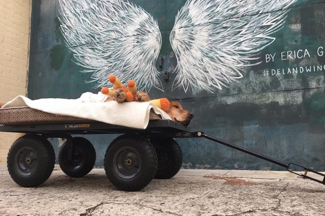 Когда любовь творит чудеса