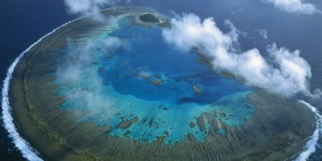 Большой Барьерный риф стремительно гибнет