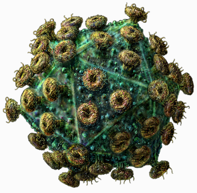 Тайна иммунитета к ВИЧ будет раскрыта, обещают вирусологи