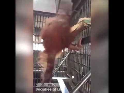Всем приятных выходных