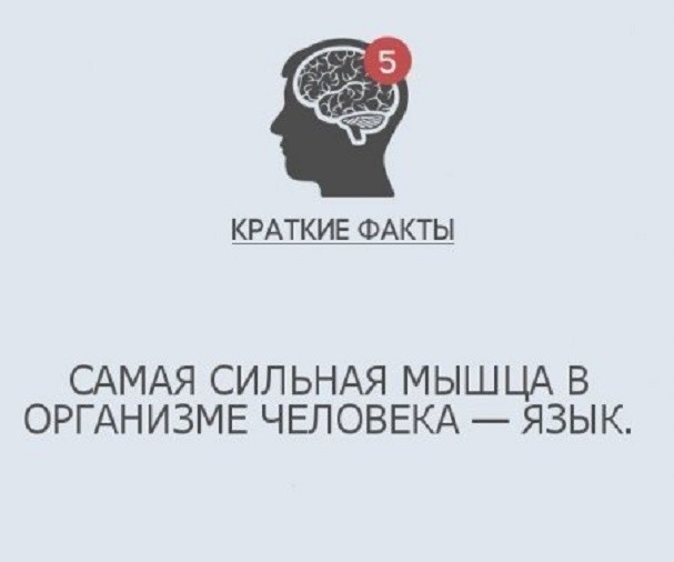 Нет ничего более неясного, чем очевидный факт!
