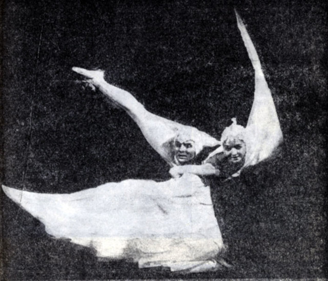 Летите. голуби