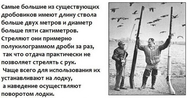 Гигантский дробовик, поражающий своими размерами