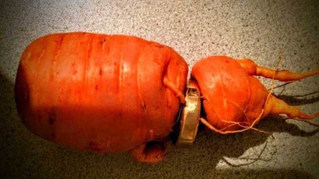 Морковь помогла пенсионеру найти потерянное обручальное кольцо