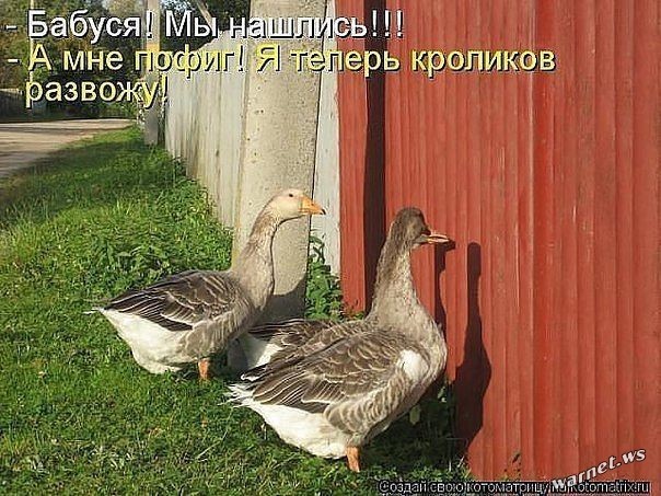 Жизнь - боль