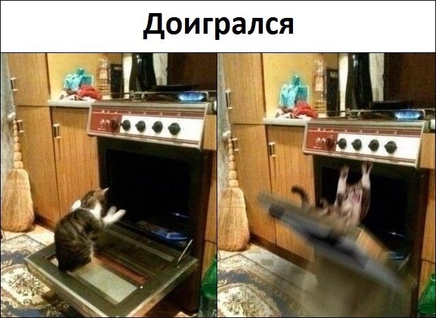 Фотоподборка смеха