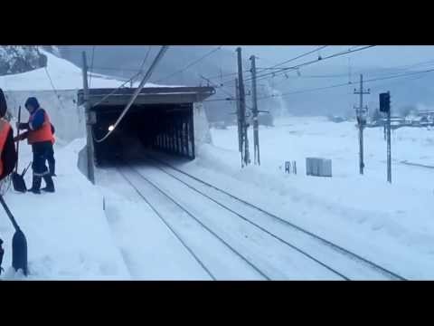 Нежданчик