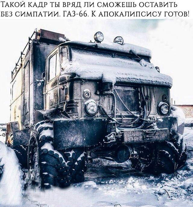 Смешные картинки с надписями
