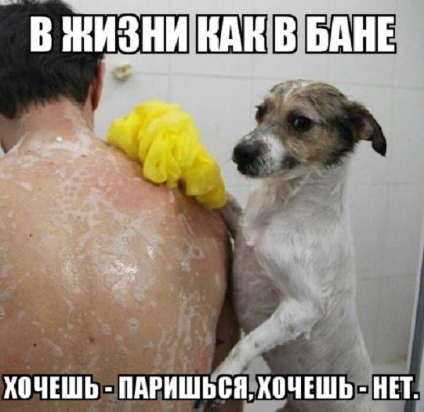 Прикольные фото на пятницу!