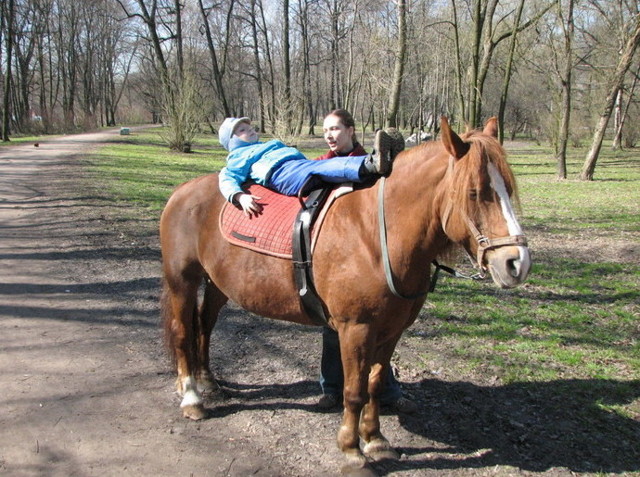 ЛОШАДИ ДРУЗЬЯ НАШЕГО ЗДОРОВЬЯ