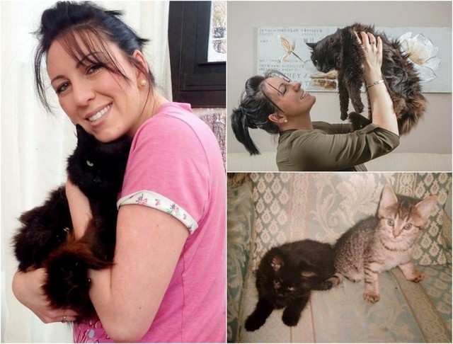 К британке вернулся одноглазый кот пропавший 11 лет назад