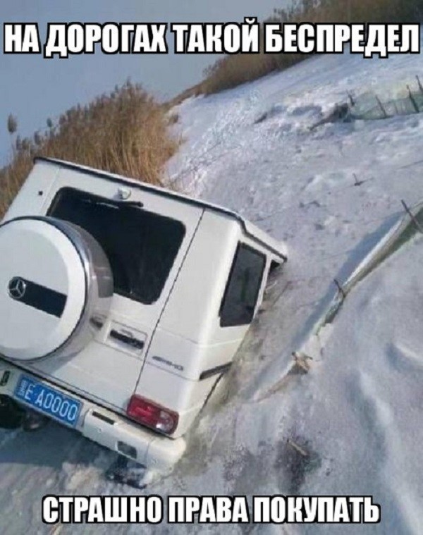 Прикольные фото на выходной!