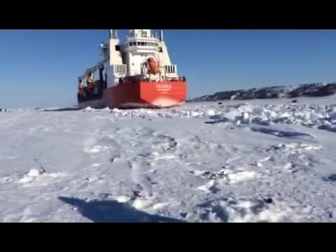 Попутка на льду