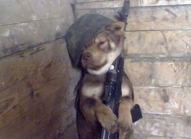 Часовому запрещается