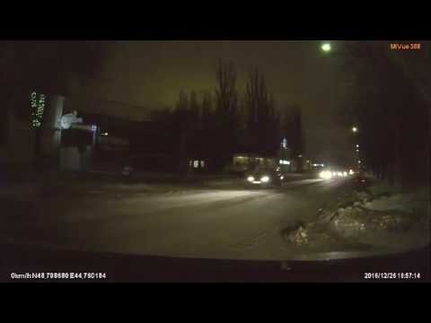 Спасли жучку 