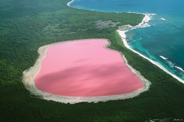 Розовое озеро Хиллер, Австралия